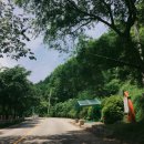 파아란 숲길 펜션 이미지