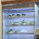 호박오리샤브샤브평택직영점 이미지