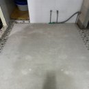 푸른세탁 이미지