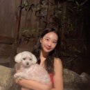 복골온천 애견스파 이미지