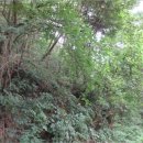 신구리농장 이미지