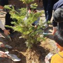 화개초등학교 이미지