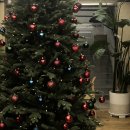 오공일기┃ Dec , 2020