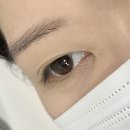 보담브로우 | 도안동 속눈썹펌 보담브로우 솔직후기