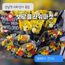 선물출구 | 역 지하상가 꽃집 추천! [ 보로플라워마켓 ] 선물용 가성비 꽃다발 강남 11번출구 내돈내산 후기 강남꽃집