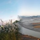 순천만여행 이미지