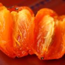 선바우농장 이미지