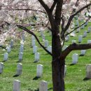 리더스 행정사사무소 이미지