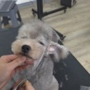 핸섬가위 - 부산진구 | 핸섬가위