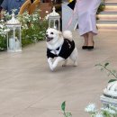 경남 | 부산/경남 아이폰스냅 후기, fafome snap