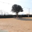 독앤트리 이미지