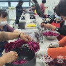 꽃차소믈리에 이미지