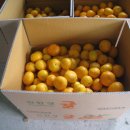 순복농장 이미지