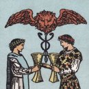 싹트는 날개 이미지