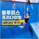 헬씨나인 | 대구 프리다이빙 시작! 내돈내산 1·2레벨 자격증 도전 후기