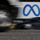 메타로라 이미지