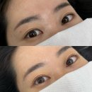 시흥능곡속눈썹펌:: 달린뷰티에서 맞춤형 속눈썹 펌!