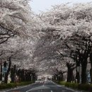종합휴양지로 이미지