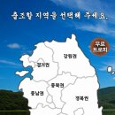 찌사랑낚시 이미지