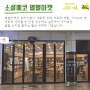 소셜에코