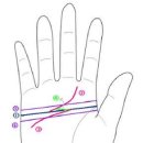 막쥔 손금 이미지