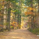 월정사 탑돌이 이미지