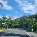 알베센트 B동 | 경주 풀빌라 호텔보다 더 좋았던 깔끔한 알베센트 풀빌라