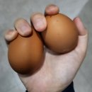피티스테이션 | 불광역 피티스테이션, 언제나 내돈내산