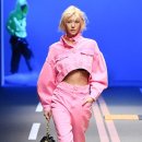 핑크홀리 이미지