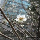 서방여인숙 Daum카페