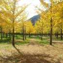 풍경힐링 이미지