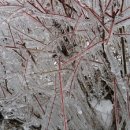 종근농장 이미지