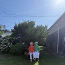 삼달1리마을회관 이미지