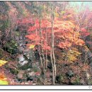 산속농원 이미지