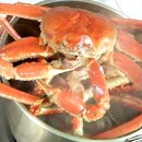 거성수산 이미지