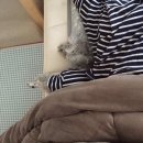 우리집 첫째 이미지