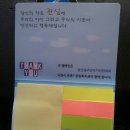 오색지
