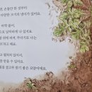봄 숲으로 가자 이미지