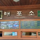 일출랜드 네이버블로그