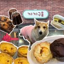 구:움 이미지