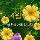 후불제 현대 크루즈 투어 이미지