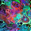 디자인서피스 티스토리