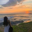 20번택시노동조합 | 24년 무이네① 선셋구경, 오토바이렌트 드라이브, 맛집추천, 로터스빌리지 Lotus Village