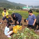 입석초등학교 이미지