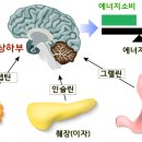 LIFE헬스 이미지