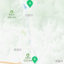 지에스25소양벚꽃로점 이미지