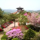 남강로 이미지