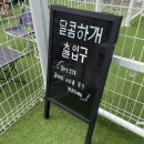 달콤하개 이미지