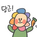 60계평택