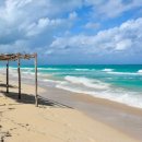 모스트(MOST) 이미지